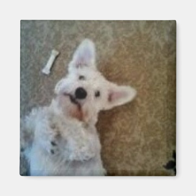 Íman Pensando Em Você, Magnet (Frente)