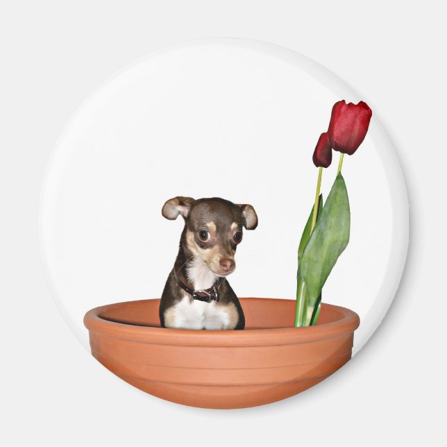 Íman Pense em primavera! (Frente)