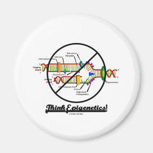 Íman Pense Epigenetics! (da cruz réplica do ADN para
