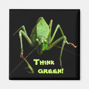 Íman Pense verde de Katydid