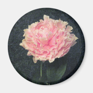 Íman Peônia cor-de-rosa