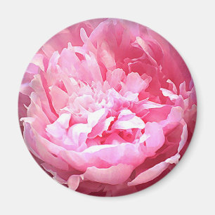 Íman Peônia cor-de-rosa chocada