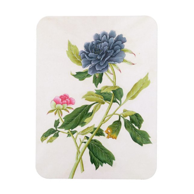Íman Peony (Vertical)