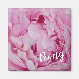 Íman Peony Blossom Rosa para amantes de flores e jardin