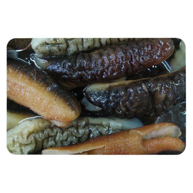 Íman Pepino do Mar ... Comida do Mercado Yaowarat (Horizontal)