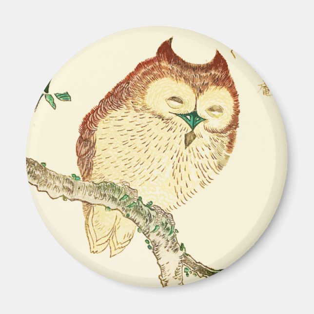 Íman Pequena coruja japonesa (Frente)