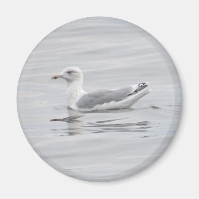 Íman Pequena gaivota (Frente)