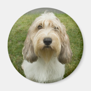 Íman Pequeno Basette Griffon Vendeen