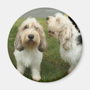 Íman Pequeno Basette Griffon Vendeen