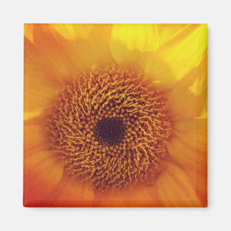 Íman Pequeno e Feliz Magneta