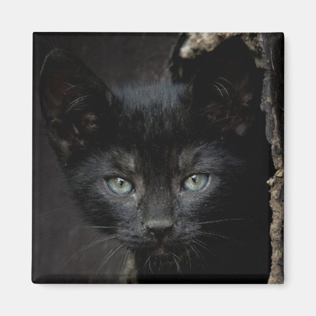 Íman Pequeno Gatinho Preto (Frente)