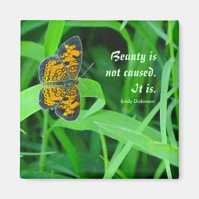 Íman Pequeno ímã (Frente)