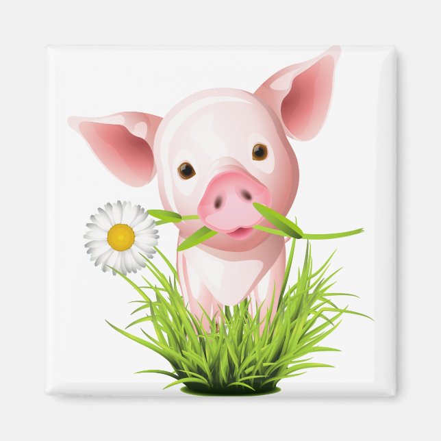 Íman Pequeno porco rosa na grama (Frente)