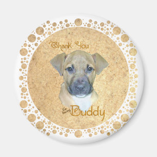 Íman Pequeno Pup Ferido - Resgatado!