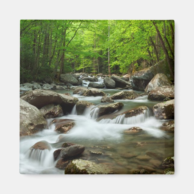 Íman Pequeno Rio Pombo em Greenbrier (Frente)