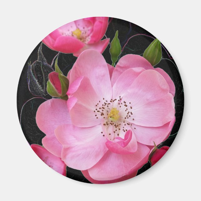 Íman pequeno rosebud abre (Frente)