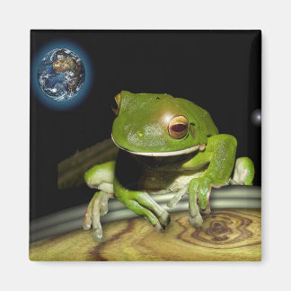 ÍMAN PEQUENO SAPO VERDE