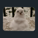 Íman Pequeno Snowman - Magneta flexível<br><div class="desc">É Tiny Snowman! Sim, um ano depois de uma queda de neve noturna, eu juntei um pouco de neve da varanda e fiz esse pequeno boneco de neve com seus pequenos galhos para braços e pedaços de chocolate para seus olhos e nariz. Agora, estou compartilhando meu pequeno boneco de neve...</div>
