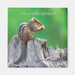 Íman Pequeno Stinker