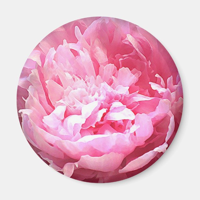 Íman Pequim Rosa Atingido (Frente)