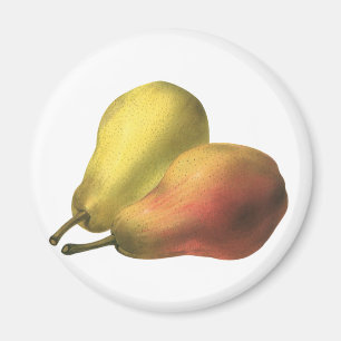 Íman Peras Antigas, Alimentos Orgânicos, Fruta Madura