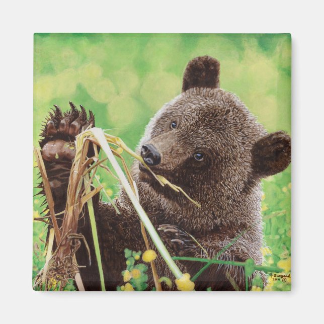 Íman Perdido no Maravilha (Frente)