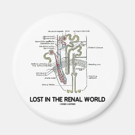 Íman Perdido No Mundo Renal (Rim Nephron)
