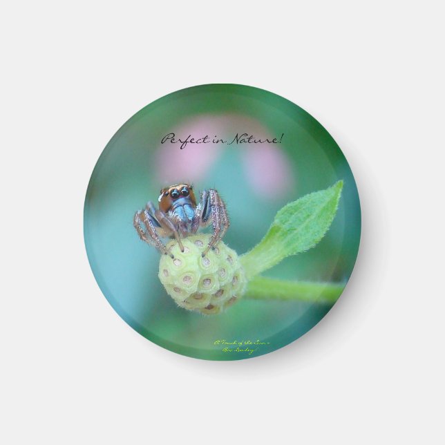 Íman Perfeito no Prêmio natural (Frente)