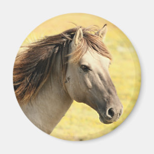 Íman Perfil bege do cavalo