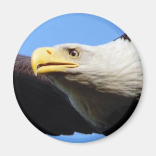 Íman Perfil da águia americana