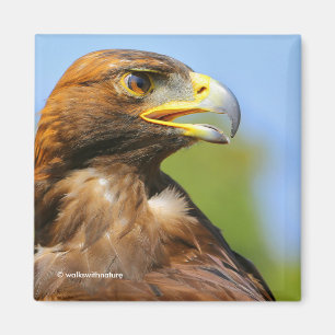 Íman Perfil de Eagle dourado no verão Sun