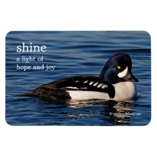 Íman Perfil de Goldeneye de Barrow