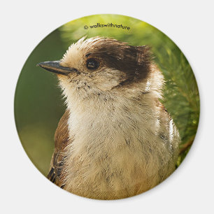 Íman Perfil de uma tomada de Cinza/uísque