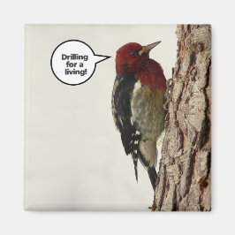 Íman Perfuração de um ímã vivo