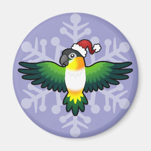 Íman Periquito de Natal / Periquito / Pionus / Papagaio