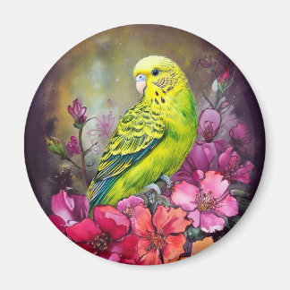 Íman Periquito e Flores