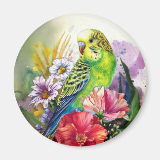 Íman Periquito e Flores