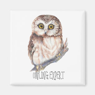Íman Perito de Owling, coruja pequena engraçada