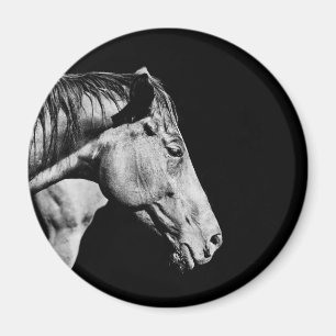Íman perna do cavalo principal