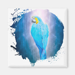 Íman Perroquet Oiseau Animal Vie Sauvage Forêt Selgle