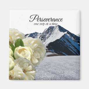 Íman Perseverance Magnet