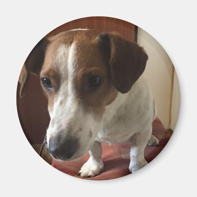 Íman Personalisiert Magnete (Frente)