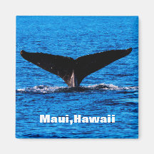 Íman personalizado Maui Humpback Whale