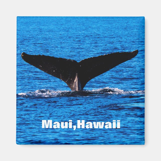 Íman personalizado Maui Humpback Whale (Frente)