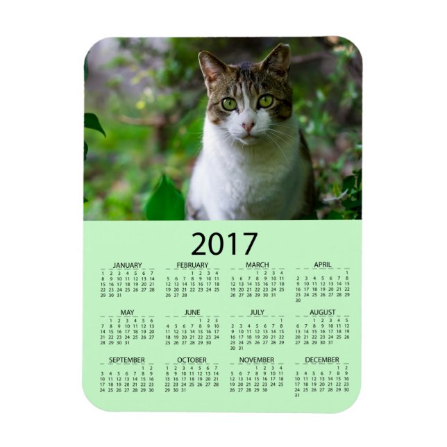 Íman Personalizar este Mini Calendário de Foto Verde 20 (Vertical)