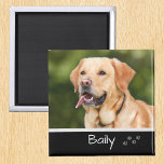 Íman Personalizar Fotografia Pet<br><div class="desc">Este design foi criado através da arte digital. Pode ser personalizado na área fornecer ou personalizar escolhendo o clique para personalizar mais opções e alterando o nome, as iniciais ou as palavras. Você também pode alterar a cor e o estilo do texto ou excluir o texto de um design de...</div>