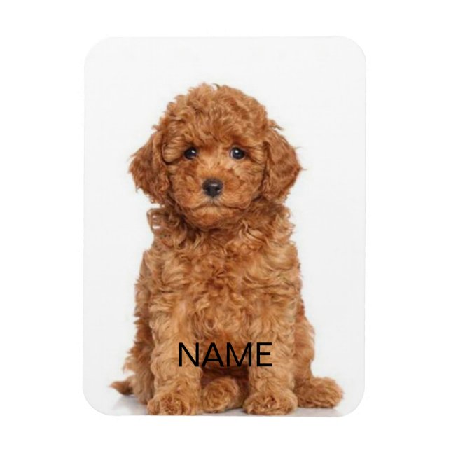 Íman Personalizar personalização com o & nome da foto (Vertical)