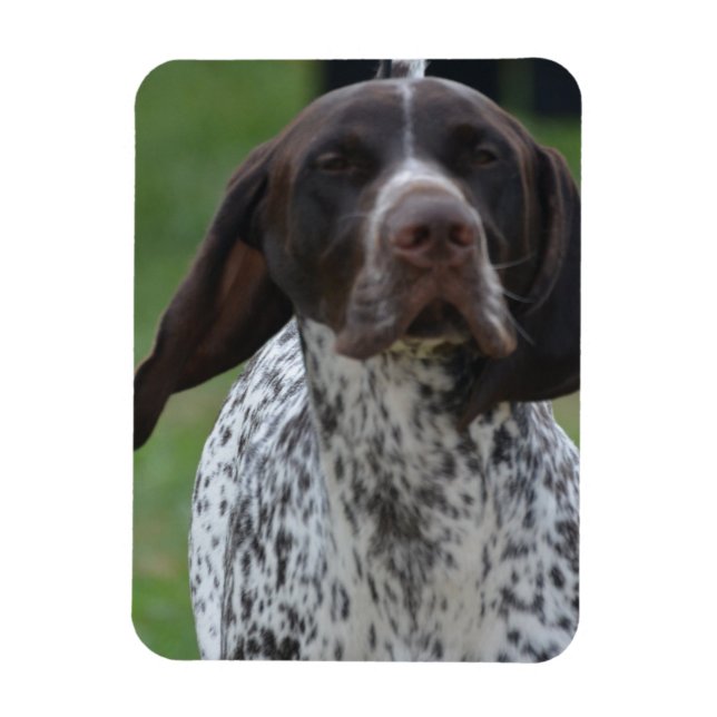 Íman Personalizar produto (Vertical)