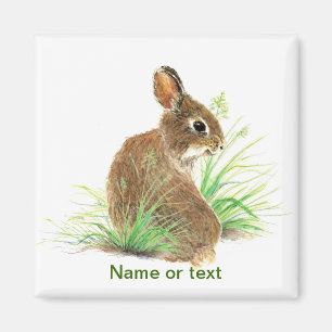 Íman Personalize este coelho curioso, animal da