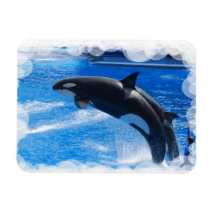 Íman Personalize o produto